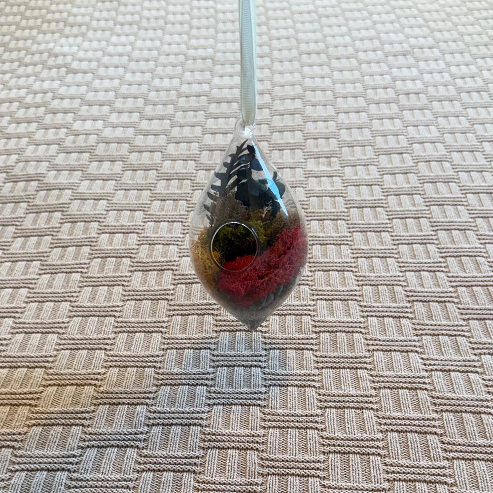 Glass Teardrop Hanging Terrarium with Red, Yellow, and Green Moss - Picture 3 of 10